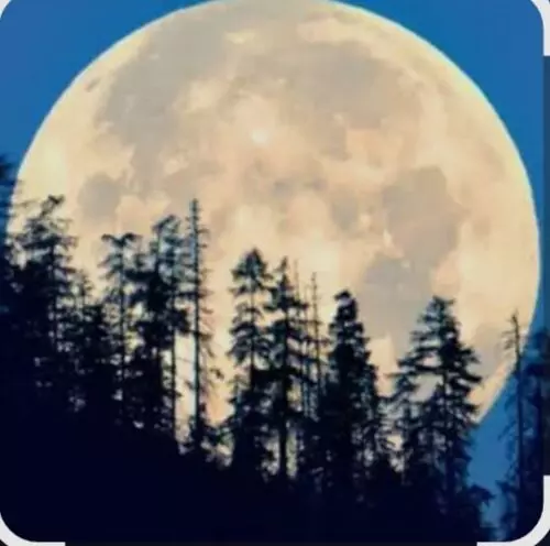 भीलवाड़ा से दिखेगा 30% ज्यादा रोशनी वाला ‘सुपरमून’, रात 8 बजे से आसमान बनेगा नजारा