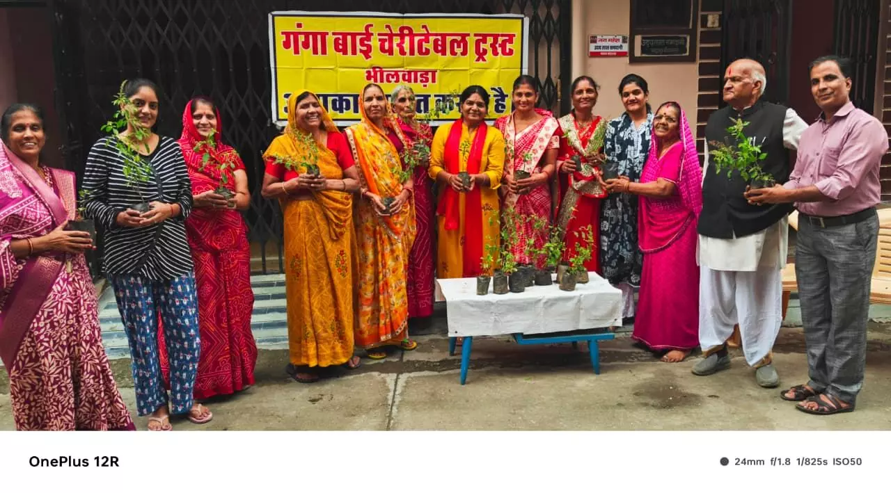 तुलसी के 200 पौधे निःशुल्क वितरित किये तुलसी के 200 पौधे निःशुल्क वितरित किये