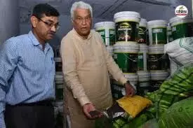 बीकानेर में कृषि मंत्री किरोड़ीलाल मीणा की बड़ी कार्रवाई बीकानेर में कृषि मंत्री किरोड़ीलाल मीणा की बड़ी कार्रवाई