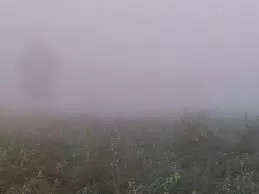 भीलवाड़ा में नवंबर  में ठंड की  शुरुआत: हवाओं ने दिलाया ठिठुरन का अहसास