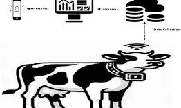 स्मार्ट गाय के साथ स्मार्ट प्रशिक्षण” विषय पर एक दिवसीय संगोष्ठी आयोजित