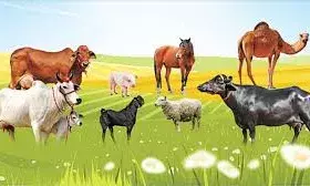 उपलब्ध संसाधनों के समुचित उपयोग से ही आर्थिक सुदृढ़ता उपलब्ध संसाधनों के समुचित उपयोग से ही आर्थिक सुदृढ़ता