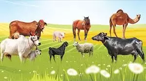 उपलब्ध संसाधनों के समुचित उपयोग से ही आर्थिक सुदृढ़ता