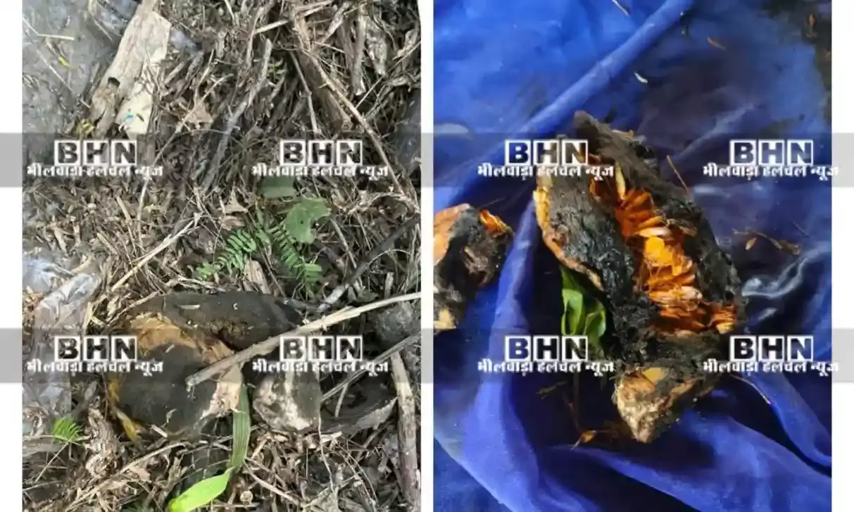 रायला में झाड़ियों में ‘भ्रूण’ मिलने की लगी सूचना पोस्टमार्टम में असलियत आई सामने