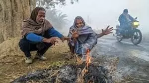 ठंड ने बढ़ाई कंपकंपी, राजस्थान के 12 जिलों में सुबह का न्यूनतम पारा 10 डिग्री से कम