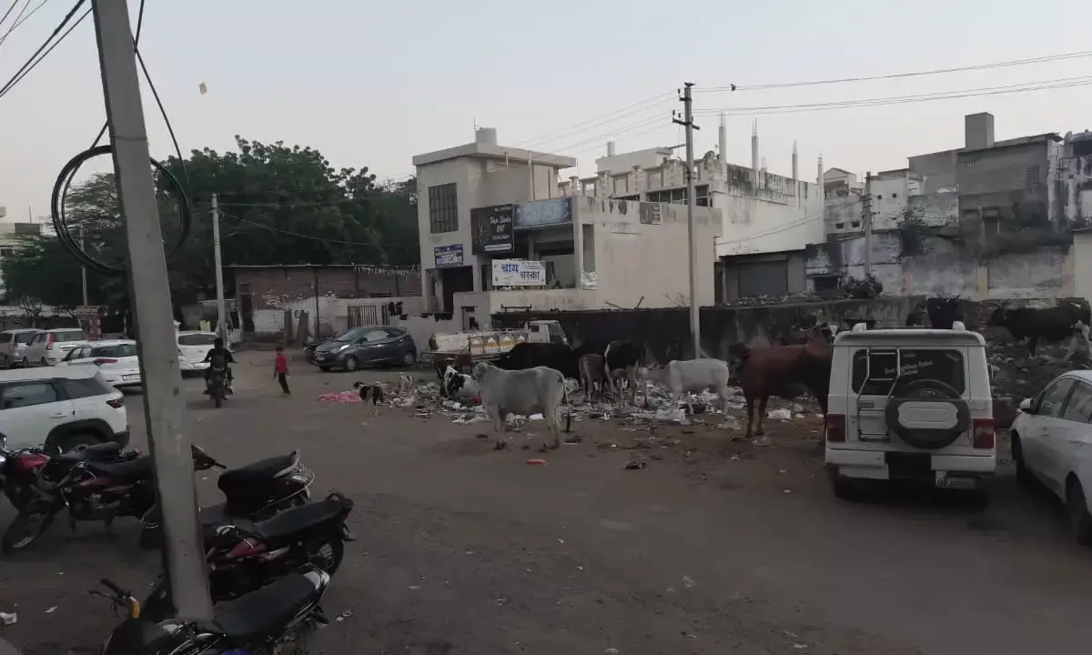 नागौरी की बगीची के पास डंपिंग यार्ड से बढ़ी परेशानी