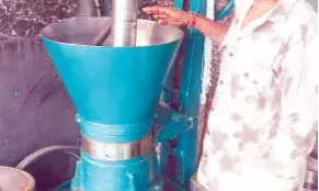 भीलवाड़ा में बैल चालित पारंपरिक घाणी से तिल्ली का तेल और मावा तैयार, सर्दियों में बढ़ी मांग भीलवाड़ा में बैल चालित पारंपरिक घाणी से तिल्ली का तेल और मावा तैयार, सर्दियों में बढ़ी मांग