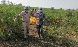 बांसवाड़ा जंगल में युवक-युवती के सड़े-गले शव मिलने से सनसनी बांसवाड़ा जंगल में युवक-युवती के सड़े-गले शव मिलने से सनसनी