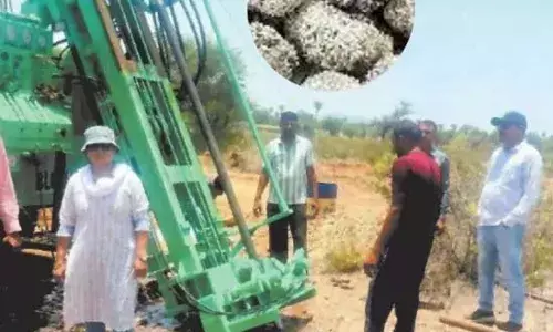 भीलवाड़ा के कोचरिया क्षेत्र में गारनेट खनिज का भंडार मिलने से खनिज विभाग में हलचल भीलवाड़ा के कोचरिया क्षेत्र में गारनेट खनिज का भंडार मिलने से खनिज विभाग में हलचल