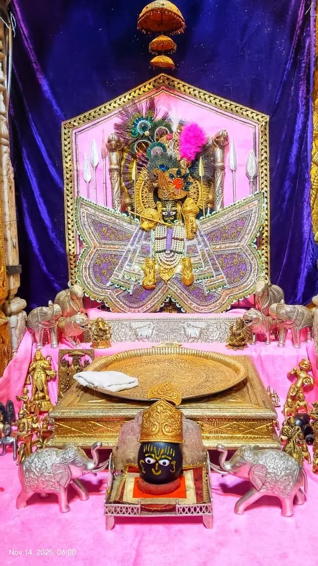 जय श्री कोटड़ी श्याम दरबार आज मंगला श्रृंगार आरती के दर्शन दिनांक    14-11-2025