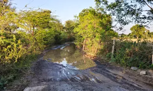 शक्करगढ़–बरोदा सड़क की हालत खराब, ग्रामीणों ने मरम्मत की उठाई मांग, किसान और विद्यार्थी रोजाना हो रहे परेशान शक्करगढ़–बरोदा सड़क की हालत खराब, ग्रामीणों ने मरम्मत की उठाई मांग, किसान और विद्यार्थी रोजाना हो रहे परेशान