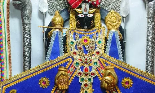 श्री चारभुजा-नाथ जी के *प्रातः* श्रृंगार आरती दर्शन-कोटड़ी  /17.11.2025