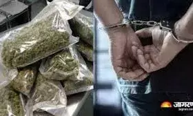 कूरियर पार्सल के जरिए 20 किलो गांजा तस्करी का बड़ा रैकेट पकड़ा,४ हिरासत में