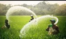 ज्यादा जमीन वाले किसानों को अब लाभार्थी नहीं माना जाएगा,सरकारी गेहूं से होंगे अपात्र