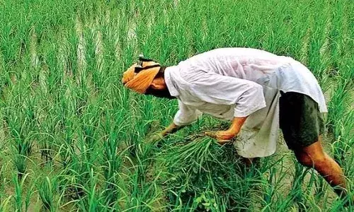 पीएम मोदी 19 नवम्बर को जारी करेंगे पीएम किसान सम्मान निधि की 21वीं किश्त