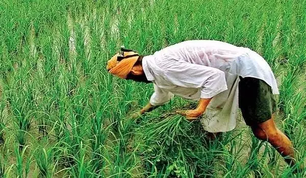 पीएम मोदी 19 नवम्बर को जारी करेंगे पीएम किसान सम्मान निधि की 21वीं किश्त