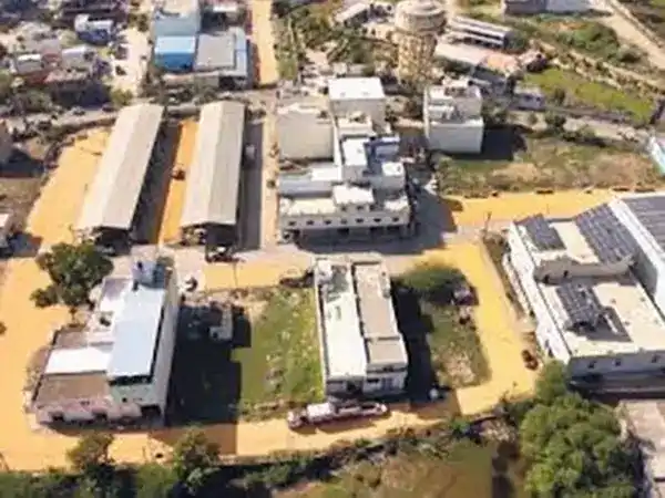 सड़कों पर फैलाकर सुखा रहे किसान, रोजाना 1200 क्विंटल पहुंच रहा माल