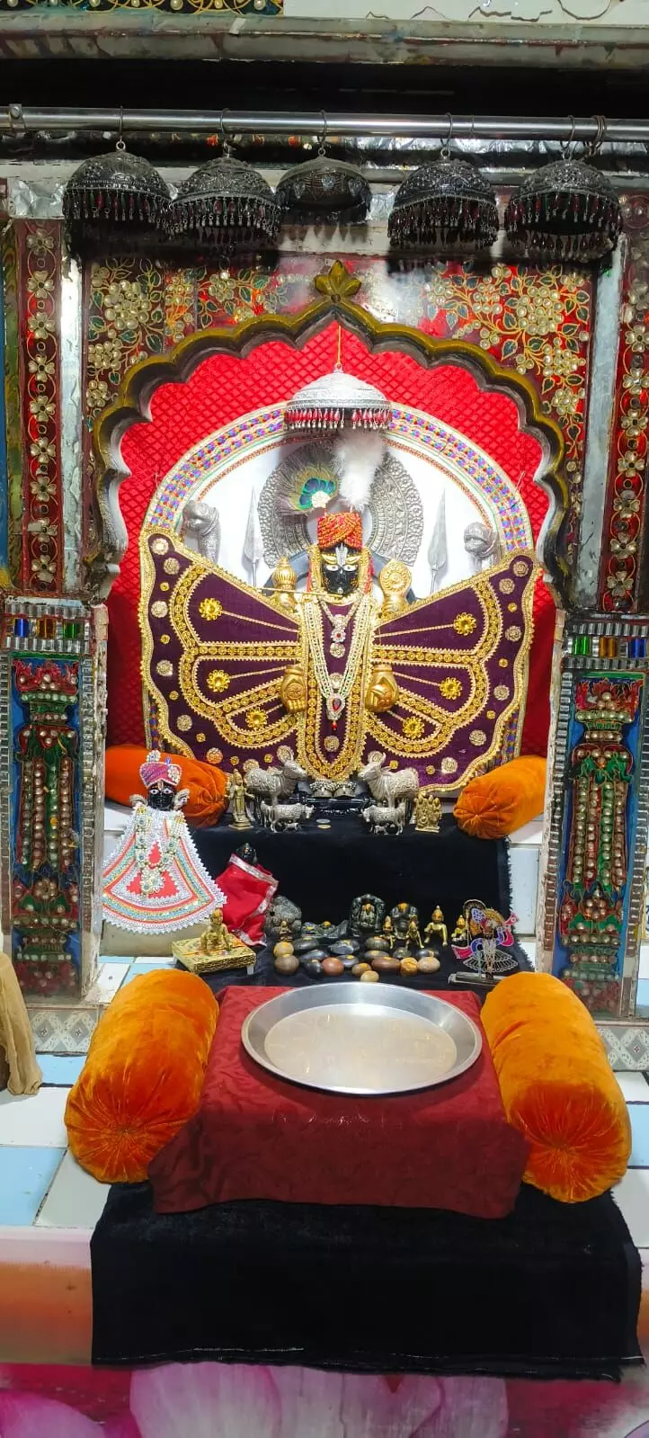 चारभुजा-नाथ*जी के *प्रातः* श्रृंगार आरती दर्शन-कोटड़ी  /19.11.2025