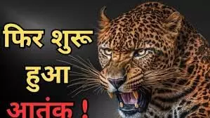 बाथरूम में घुसकर 13 बछड़ों का किया शिकार, पूरे गांव में दहशत