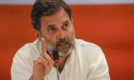 नेहरू के लेखों के डिजिटल आर्काइव पर राहुल गांधी का बयान