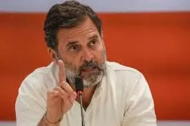 नेहरू के लेखों के डिजिटल आर्काइव पर राहुल गांधी का बयान