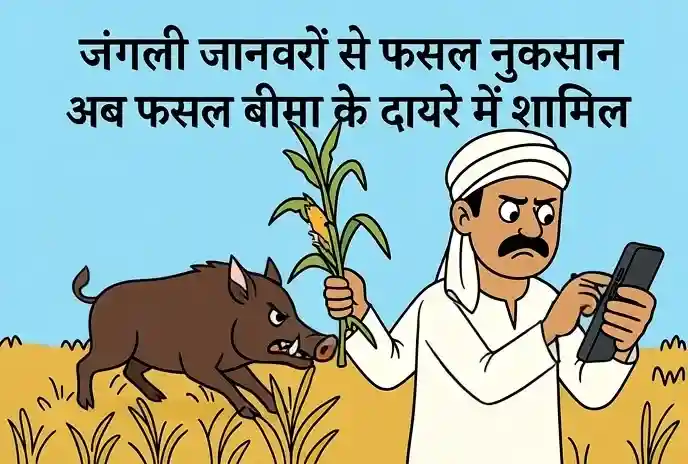 जंगली जानवरों से फसल नुकसान अब फसल बीमा के दायरे में शामिल जंगली जानवरों से फसल नुकसान अब फसल बीमा के दायरे में शामिल