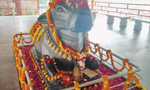 हरणी महादेव मंदिर में नंदीश्वर स्थापना दिवस धूमधाम से मनाया