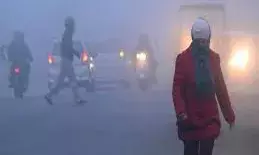 तेज सर्दी और घनी धुंध के बीच फतेहपुर बना राजस्थान का सबसे ठंडा शहर