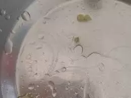 आंगनवाड़ी केंद्र में बच्चों के दलिया में इल्लियां मिलीं, सप्लायर समूह को नोटिस