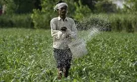 यूरिया की कमी से किसान परेशान