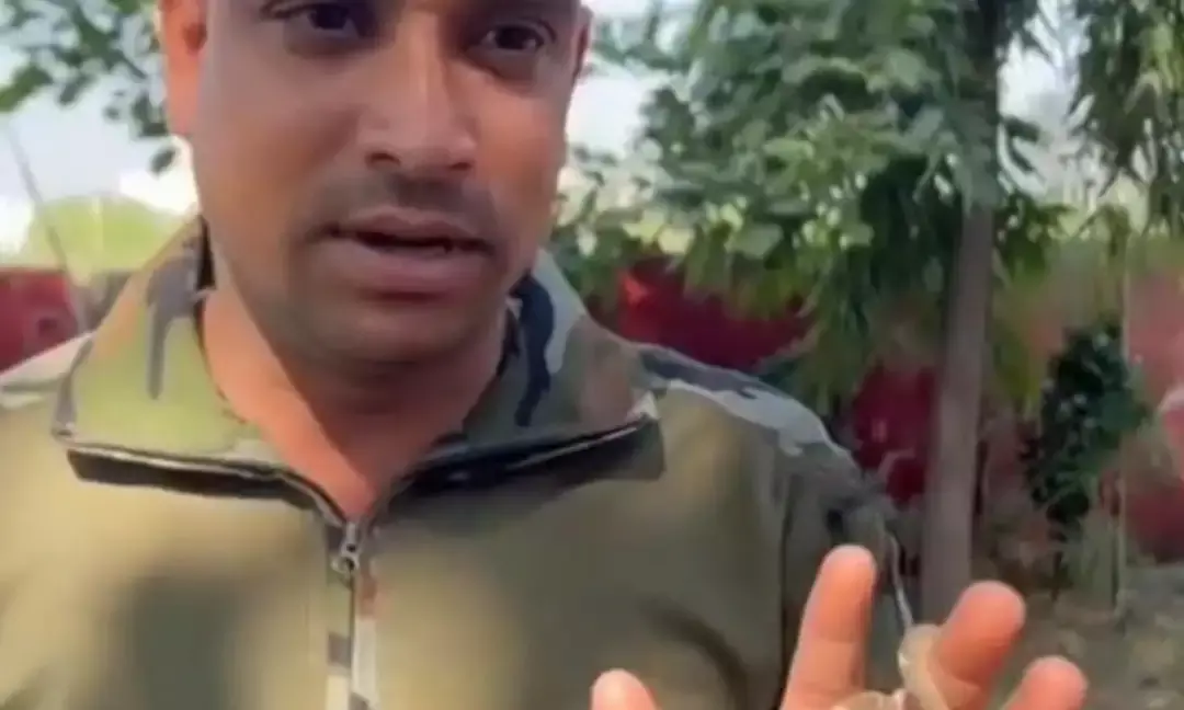 बिल्ली को पकड़ने के बाद सांप बोईगा का रेस्क्यू कर जंगल में सुरक्षित छोड़ा गया बिल्ली को पकड़ने के बाद सांप बोईगा का रेस्क्यू कर जंगल में सुरक्षित छोड़ा गया