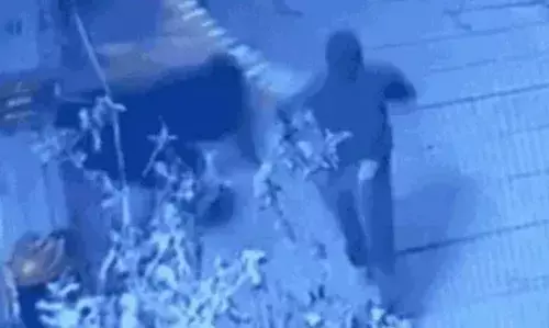 चारभुजा नाथ मंदिर में चोरी का प्रयास, सीसीटीवी में कैद हुए तीन चोर