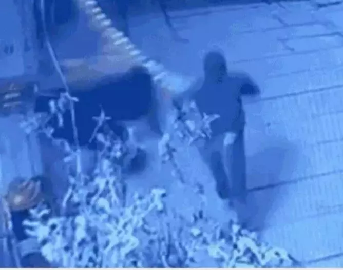 चारभुजा नाथ मंदिर में चोरी का प्रयास, सीसीटीवी में कैद हुए तीन चोर