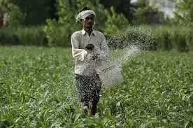 यूरिया की कमी से किसान परेशान