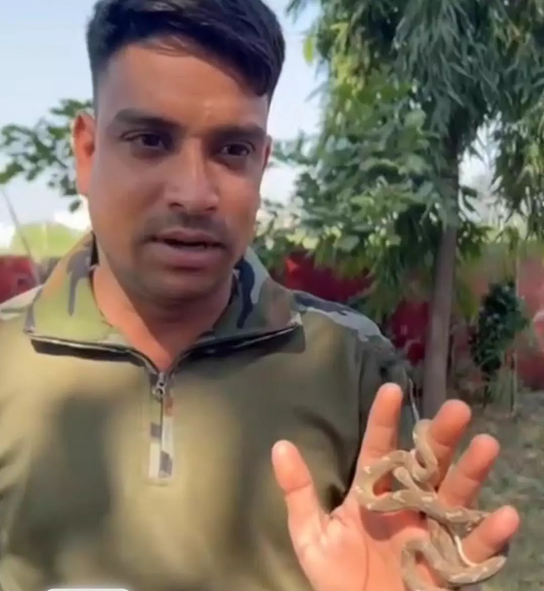 बिल्ली को पकड़ने के बाद सांप बोईगा का रेस्क्यू कर जंगल में सुरक्षित छोड़ा गया बिल्ली को पकड़ने के बाद सांप बोईगा का रेस्क्यू कर जंगल में सुरक्षित छोड़ा गया