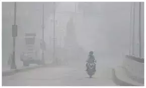 राजस्थान में मौसम बदला, न्यूनतम तापमान बढ़ा; घनी धुंध से सुबह की रोशनी रही फीकी