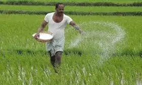 कृषि मंत्री से शिकायत के बाद बस्सी क्षेत्र में कृषि आदान विक्रेता के यहां मिली खामी दिया नोटिश