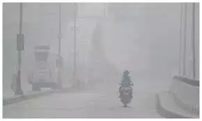 राजस्थान में मौसम बदला, न्यूनतम तापमान बढ़ा; घनी धुंध से सुबह की रोशनी रही फीकी