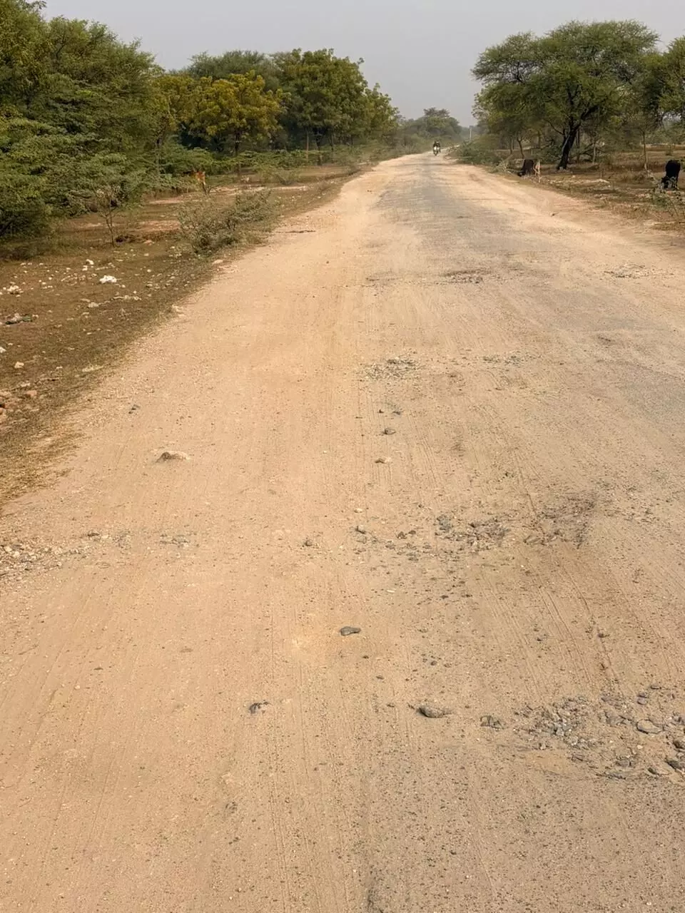 देवरिया–उलाई सड़क बदहाल, टेंडर पास होने के बावजूद दो साल से निर्माण अटका; जनता में नाराजगी देवरिया–उलाई सड़क बदहाल, टेंडर पास होने के बावजूद दो साल से निर्माण अटका; जनता में नाराजगी