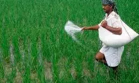 भारतीय किसान संघ ने की यूरिया खाद की मांग