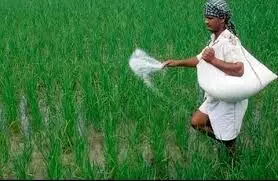 भारतीय किसान संघ ने की यूरिया खाद की मांग भारतीय किसान संघ ने की यूरिया खाद की मांग