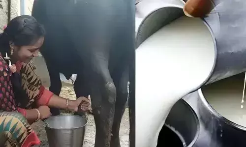 जिले में कपड़ा उद्योग के बाद सबसे बड़ा सहारा पशुपालन