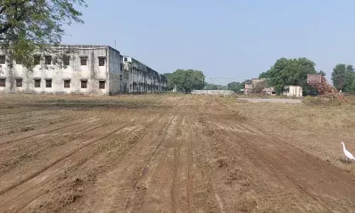 नन्हे बच्चों के लिए शानदार माहौल, 1 दिसंबर से शुरू होंगी विधायक खेल विकास योजना की स्पोर्ट्स अकादमियां नन्हे बच्चों के लिए शानदार माहौल, 1 दिसंबर से शुरू होंगी विधायक खेल विकास योजना की स्पोर्ट्स अकादमियां