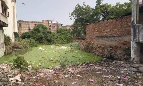 खटीक मोहल्ले के निवासी खाई में मच्छर और साँपों से परेशान