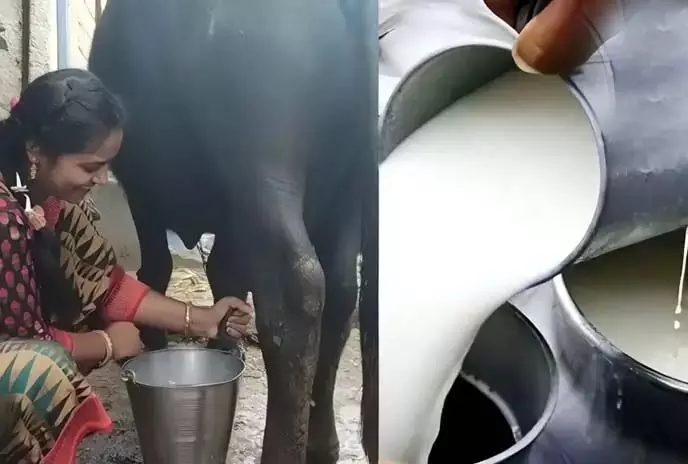 जिले में कपड़ा उद्योग के बाद सबसे बड़ा सहारा पशुपालन