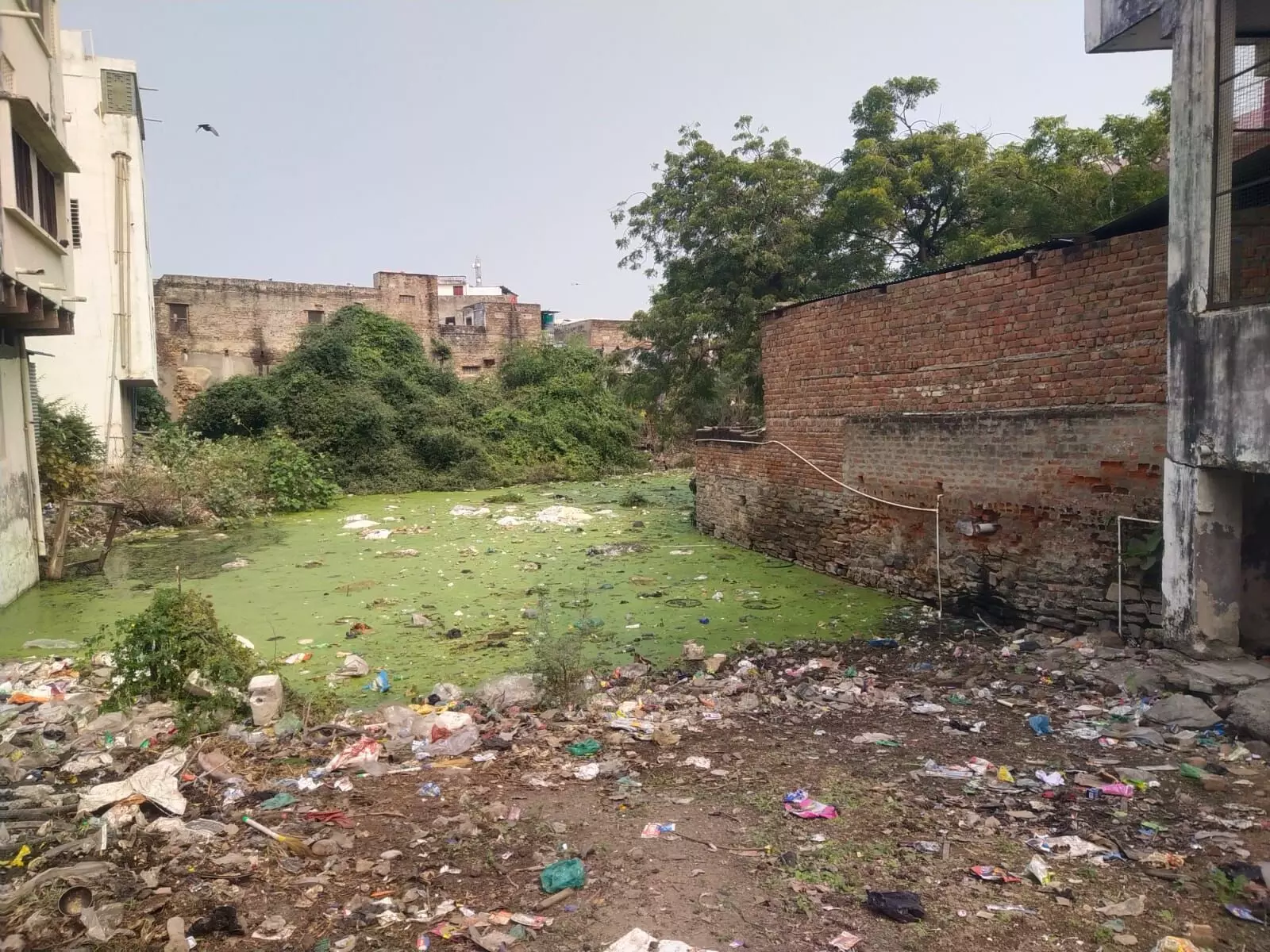 खटीक मोहल्ले के निवासी खाई में मच्छर और साँपों से परेशान