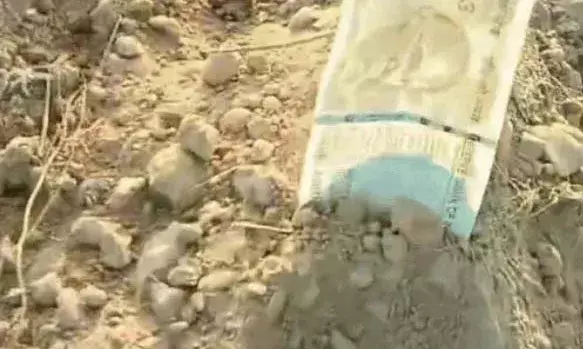 किसान ने खेत में बो दिए रुपए