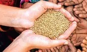 31 दिसंबर के बाद अपात्रों से होगी वसूली, आवश्यक दिशा निर्देश जारी