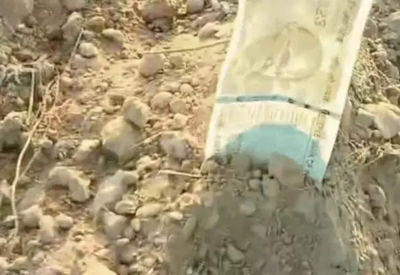 किसान ने खेत में बो दिए रुपए