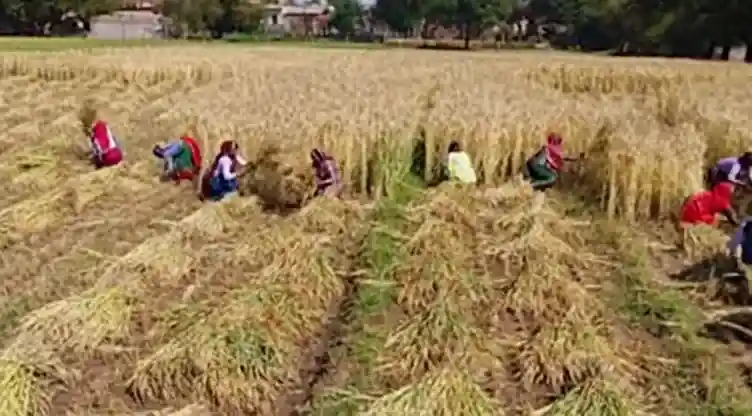 किसानों की आय बढ़ाने के लिए नया राष्ट्रव्यापी अध्ययन